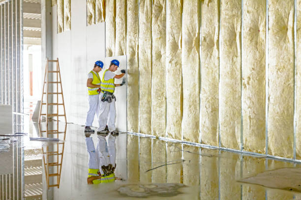 Best Attic Insulation Installation  in Lisbon, OH